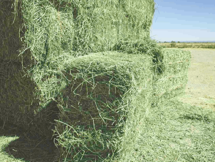 3x3x8 Bales