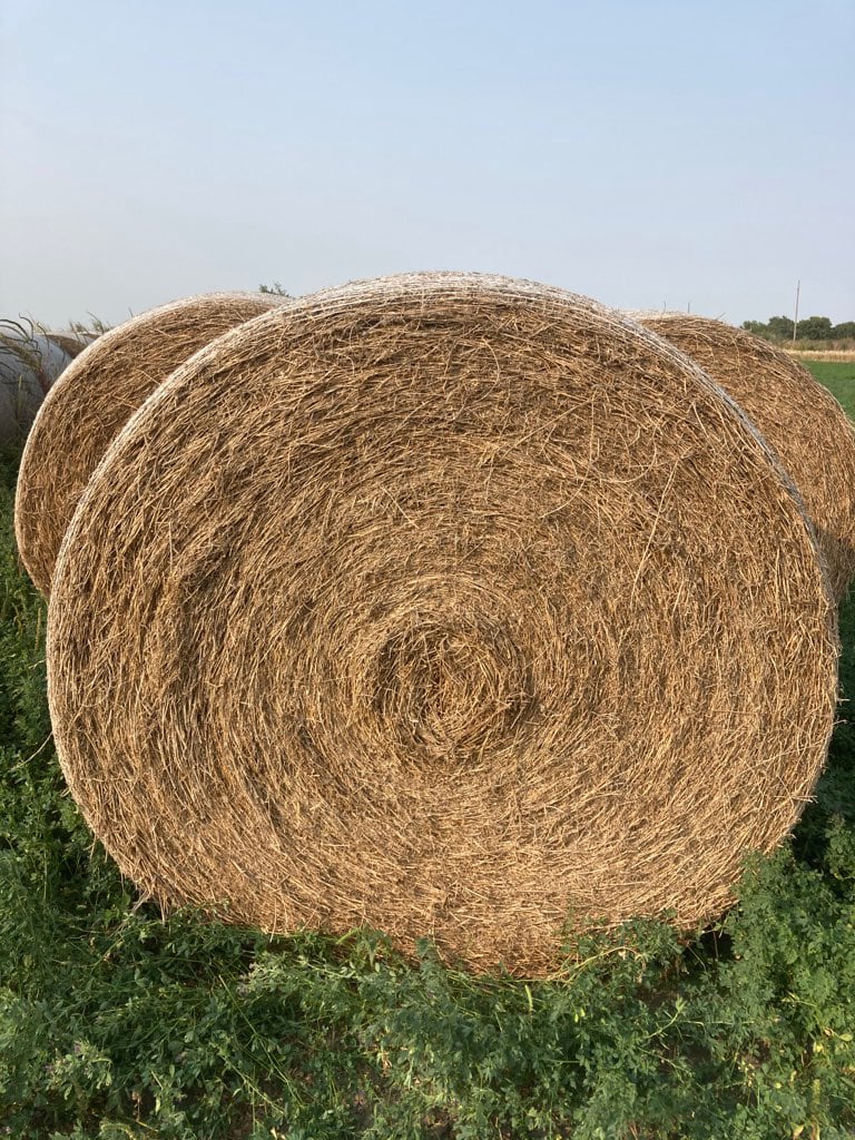 Large Round Bales