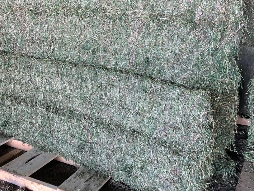 4x4x8 Bales