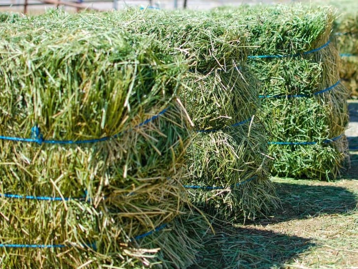 Small Square Bales